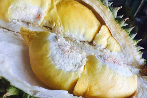 Khám Phá Thủ Phủ Sầu Riêng 2n1đ